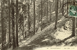 Remiremont - Sous Bois
